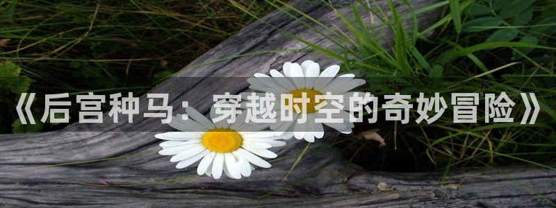 香蕉漫画 免费：《后宫种马：穿越时空的奇妙冒险》